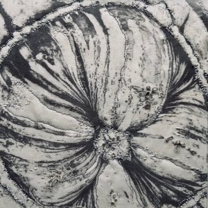 Sue Gibson