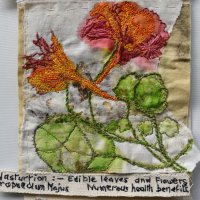 Gill Crompton