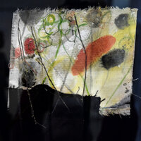 Jane Hadfield