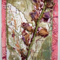 Gill Crompton