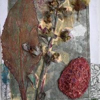 Gill Crompton