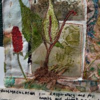 Gill Crompton