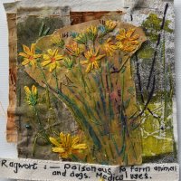 Gill Crompton