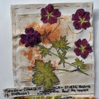 Gill Crompton